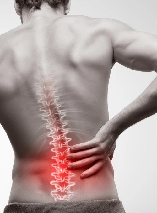 Person holding their lower back with the spine highlighted in red to illustrate pain